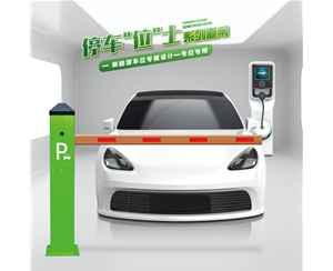 青岛RG-CW系列车位小道闸